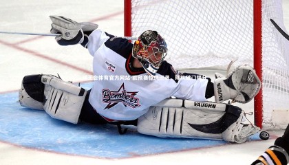 球王会体育官方网站-欧预赛惊现逆袭，球队破门得分